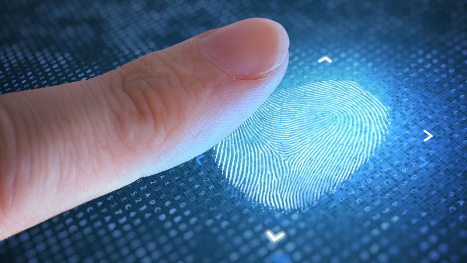 fingerprint (1)